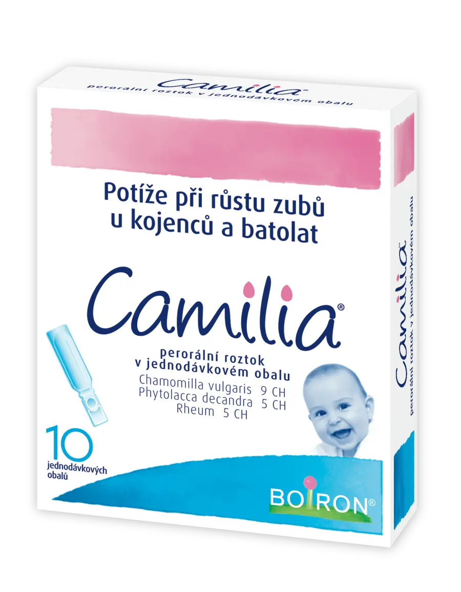 3735_3D CAMILIA10 P (RGB)